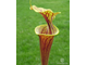 Sarracenia Flava var. Rubricorpora