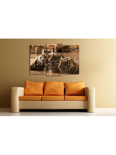 Модульная картина "Тигры в воде"