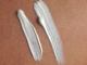 Корректор (консилер) LA Girl 996 Highlighter