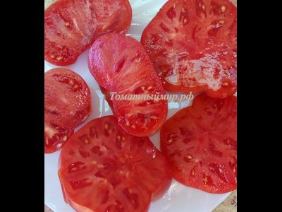 Томат Пандероза розовый Хендерсона (Henderson's Pink Ponderosa)