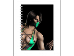 Тетрадь Мортал Комбат, Mortal Kombat №29