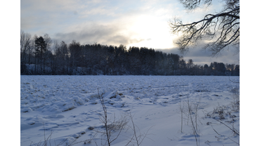 Двина стала