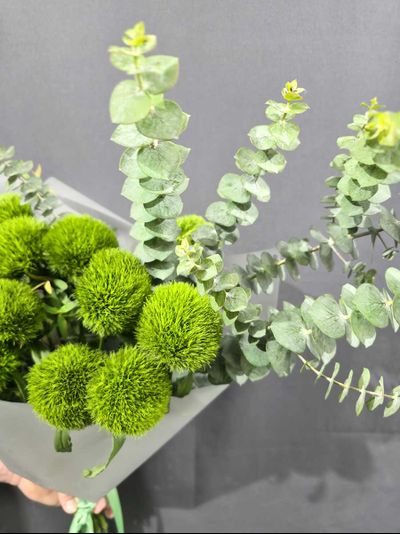 Букет Грин Тик с эвкалиптом №302