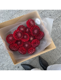 Транспортировочный бокс