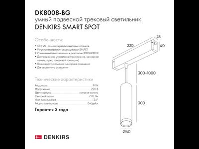Трековый светильник Denkirs DK8008-BG