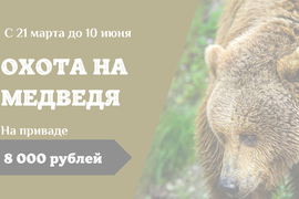 Охота на медведя на приваде