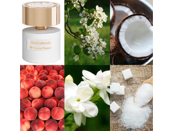 Tiziana Terenzi Andromeda