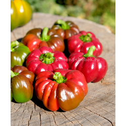 Перец сладкий Папачелло Красный, 10 шт