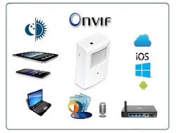 Охранная IP WiFi-LAN видеокамера с ночным видением и аудиоканалом (корпус ИК датчика), встроенный DVR. HD