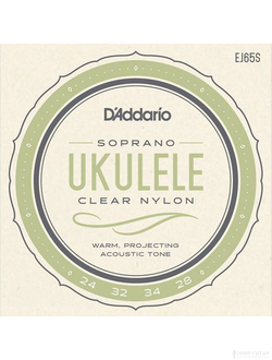 D'Addario EJ65S Pro-Arte Custom Extruded