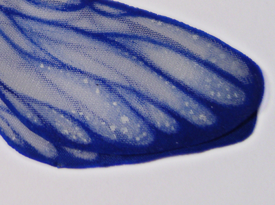 Серьги "Крылышки Поднебесной Феи"