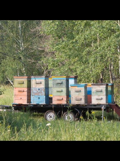 Прицеп «Тандем» (8213 2E)