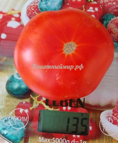 Томат Сладкая Скарлет (Сладкий Алый гном, Dwarf Sweet Scarlet), США