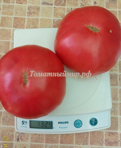Томат Микадо розовый