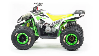 Квадроцикл MOTOLAND COYOTE 125 низкая цена