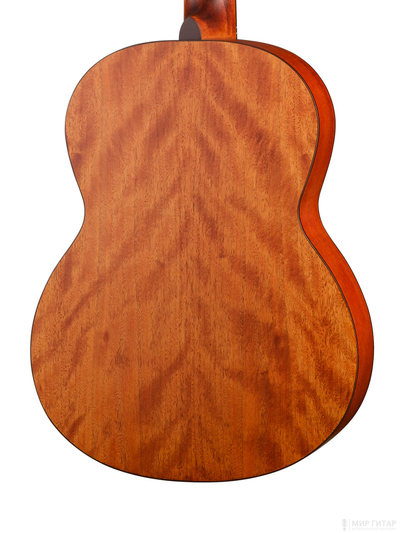 Cort AC200-OP-w/bag 5