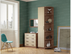 ЛДСП Шкаф СОЛО Ясень Шимо темный-светлый