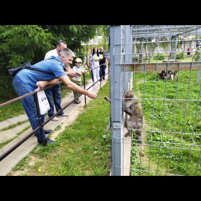 Экскурсия "Прогулка в парке птиц"