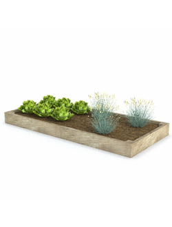 грядки Грядка 2 с рассадой