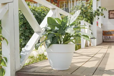 Горшок с дренажной системой Лори VipSet 4л белый