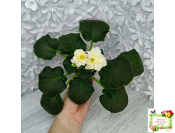 МК-Белый Янтарь (М. Карпова) 2023 г.