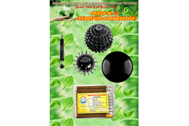 CЕРДЕЧНО СОСУДИСТАЯ СИСТЕМА