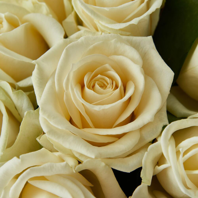 БУКЕТ "УТРЕННЯЯ РОСА" ИЗ 25 БЕЛЫХ РОЗ В КРАФТЕ