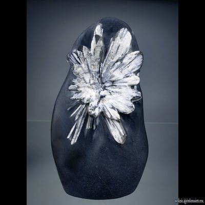 Целестин в аргиллите "хризантемовый камень". Китай. 113*65*35мм