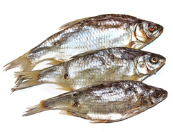 Тарань Азовская