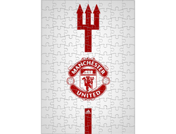 Пазл Манчестер Юнайтед, Manchester United FC №9