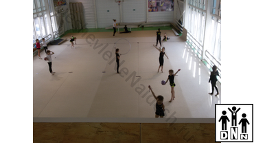 Ковер для художественной гимнастики 14 х 14 х 0,015 м (иглопробивной на латексной основе, подложка ппэ 10мм) г.Анапа клуб ВИКТОРИЯ