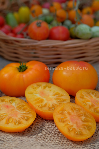 Томат Dwarf Lucky Swirl (Гном Завиток Удачи), 10 шт