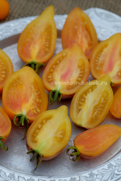 Томат Персик Каплевидный, 10 шт