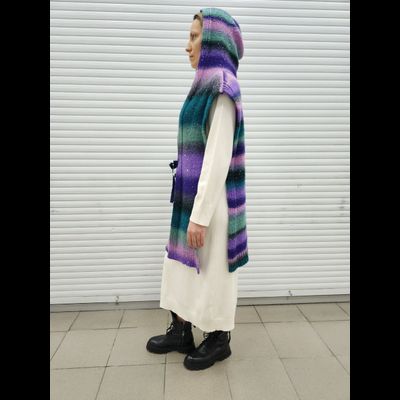 Жилет с капюшоном Vizio 1056 MS разноцветный