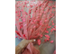Вышивка коралловой нитью с атласными цветами КОРАЛЛ S19019