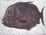 Рыба №1 50х60 см 2003 года