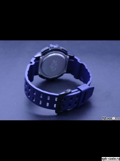 Часы Casio WS-1200H-2AVEF