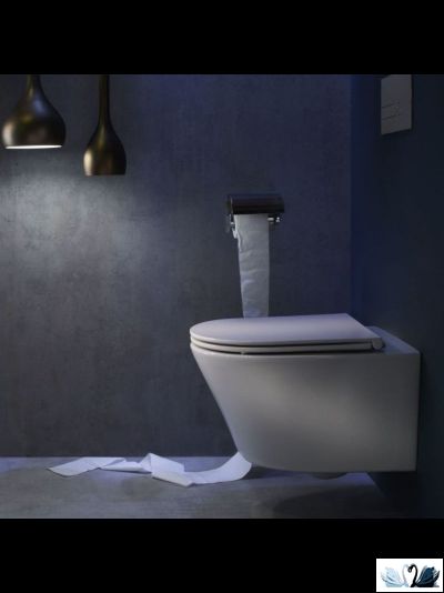 Унитаз Jacob Delafon Rodin+ EDY102-00, подвесной, белый