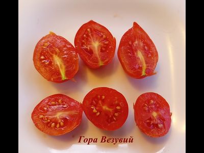 Томат Гора Везувий (Mt.Vesuvius, Mountain Vesuvius)