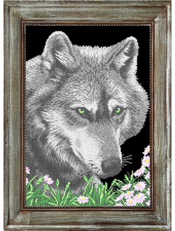 Волк и ромашки, К3245