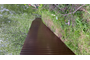 F1E68819-F5A4-4553-A20C-3C377353D4E1.jpeg