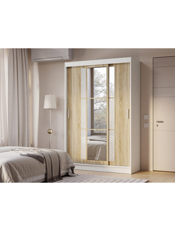 Шкаф-купе Денвер ШКК-03 (BTS)