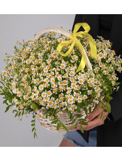 Букет "Весенняя корзина"