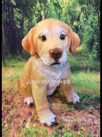 ЛАБРАДОР щенок 24*23см  полистоун Россия 895-012704