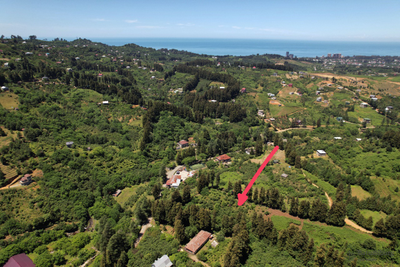 Продаётся земельный участок в Чакви - пригород Батуми.  Цена: 20$/м²