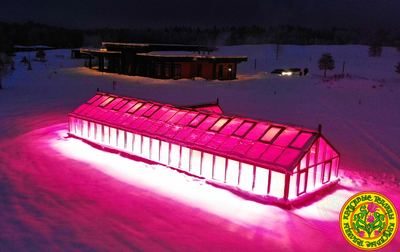 Зимняя английская теплица с холлом АГАТА размером 5500 х 11000 мм