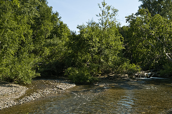 Паратунка Камчатка