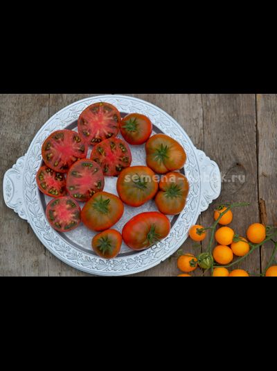 Томат Dwarf Kookaburra Cackle (Гном Смех Кукабарры), 10 шт