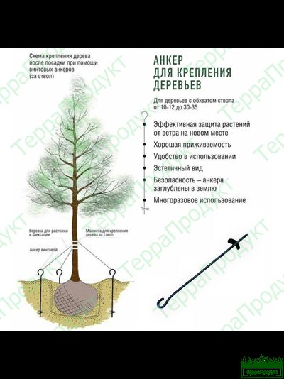 Анкер для растяжки деревьев 60см,анкер купить в Красногорске ,анкер для деревьев,анкер для растяжки