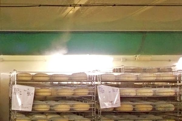 Туман в камере созревания сыра